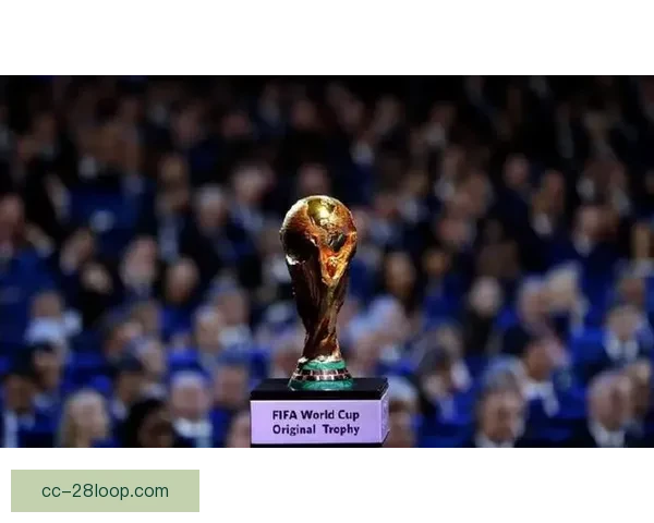 2026年世界杯决赛阶段最低票价公布仅需一百八十美元 2026年世界杯决赛阶段最低票价公布仅需一百八十美元